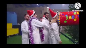 что будет если стрельнуть из огромной хлопушки ёлкой