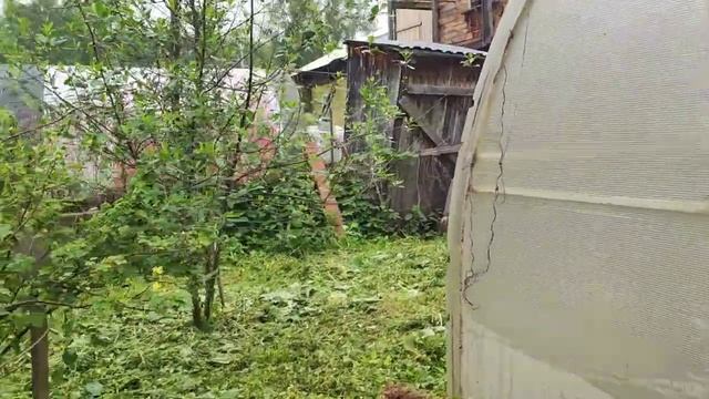 Работы на огороде #влог#рассада#сибирь#дача#цветы#огород#садоводство#томаты