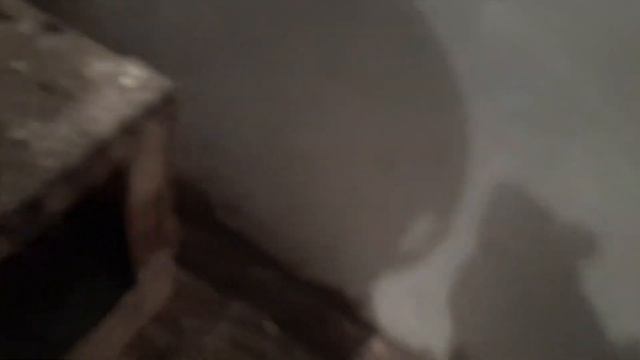 Яйценоскость за неделю. Собираем яйцо в теплице.