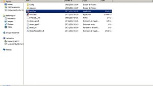 Sonic Adventure 2 Error How Do I Fix This?