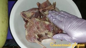 Готовим дичь. Избавляемся от запаха дичи. Курица не птица. Лысуха не утка.  Водяная курочка - Лысух