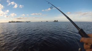 Осенний джиг на Финском заливе. Первый опыт. 5/10/18