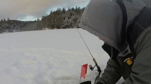 ice fishing trout