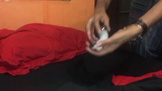 Ласка «танцует» смотреть онлайн