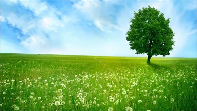 Молитва за непроснувшихся (спящих). смотреть онлайн