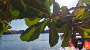 От безысходности вдовец устроился сиделкой к миллионерше. Но увидев там одну фотографию, он застыл.