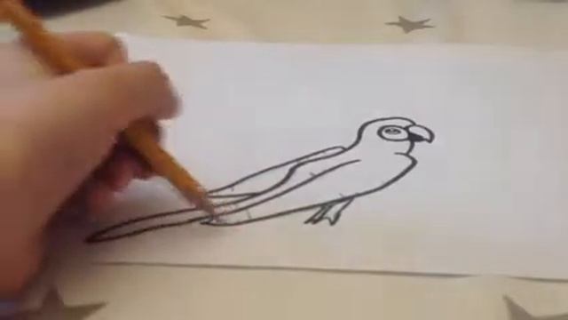Как нарисовать попугая ✍? смотреть онлайн