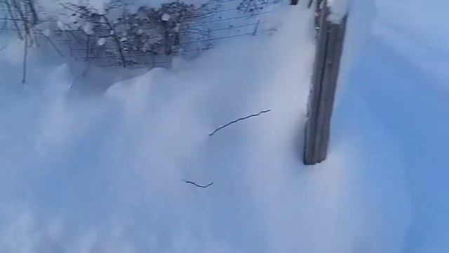 А что если снег почистить машиной, с такой мыслью проснулся.. смотреть онлайн