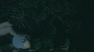 Angry Birds Happy Halloween