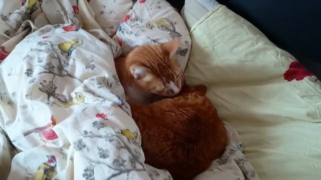 Смену сдал-смену принял! А ну марш на работу! смотреть онлайн