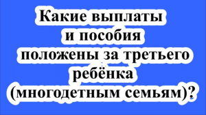 Какие выплаты и пособия положены за третьего ребёнка (многодетным семьям)?