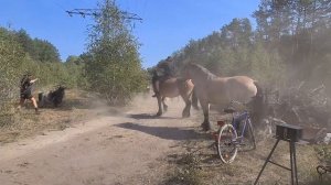 Unterwegs in Kutschen - eine Familie steigt aus