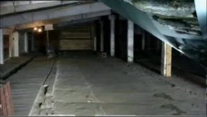 Вешенка. Выращивание. Самый простой гриб для домашнего выращивания