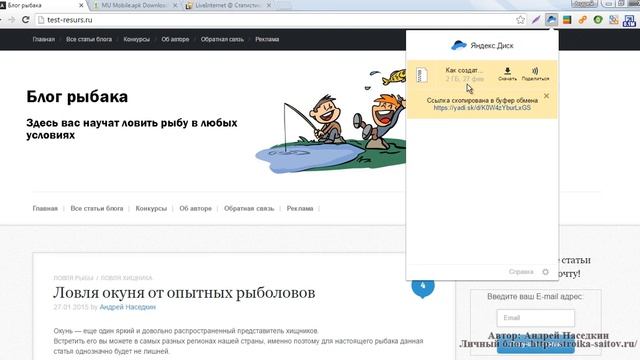 Расширения для браузера Яндекс и Google Chrome