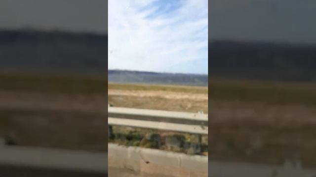 Выбор мини-трактора Русич... Купили Русич !!! смотреть онлайн