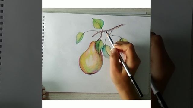 Простой рисунок груша смотреть онлайн