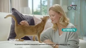 Purina One. Очевидный результат за 21 день