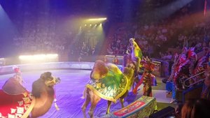 Ставрополь цирк. Песчаная сказка  очень интересное представление. #цирк