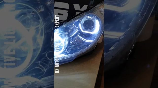 Toyota Estima Acr30 FL ? | XrayVision Classic BI-LED Headlamp Projector смотреть онлайн