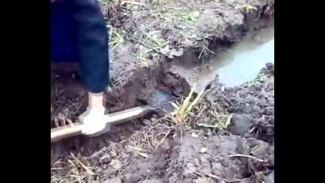 Осушение Земли от высоких грунтовых ВОД!