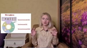 МИТОЗ//КЛЕТОЧНЫЙ ЦИКЛ,СТРОЕНИЕ ХРОМОСОМ/ИНТЕРФАЗА/ПРОФАЗА,МЕТАФАЗА,АНАФАЗА, ТЕЛОФАЗА/АМИТОЗ