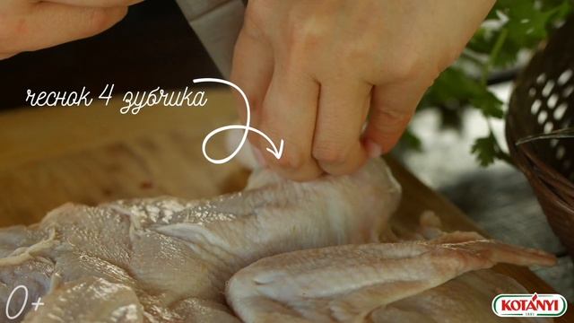 Цыпленок табака на мангале смотреть онлайн