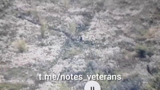 Удар по позиции ВСУ в Белгородском пограничье/Strikes at the AFU position near border