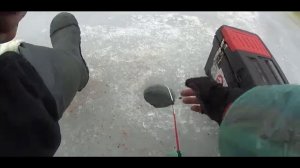 Зимняя рыбалка на ЛЕЩА. Тест прикормок ДЕШЕВАЯ vs ДОРОГАЯ