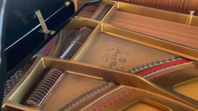 Pianomation for eBay 1 смотреть онлайн