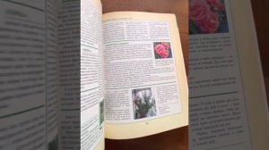 Книга «Все о розах» русский ХЕСАЙОН