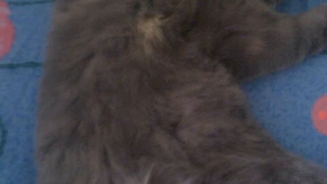 Минута молчания в честь Кемерово...... смотреть онлайн