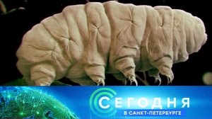 «Сегодня в Санкт-Петербурге»: 14 марта 2023 года