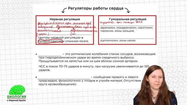 Кровеносная система ЕГЭ | Пробная неделя мастер-группы с Мариной Брейн