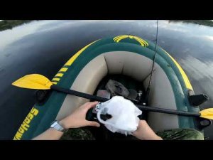 Хорватское яйцо 22082021