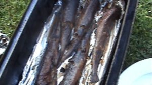 Майский отдых на даче.