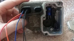 Ремонт блока AWD Haldex Ford Kuga 5WP33531-03 коды ошибок B2477, U2051