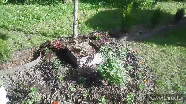 Формирую новую клумбу / Цветник своими руками / Идеи для сада.