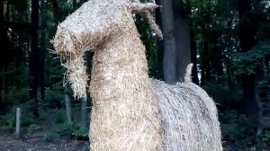 VLOG: Костя и соломенные фигуры лошадь козел баран/Kostya and straw figures