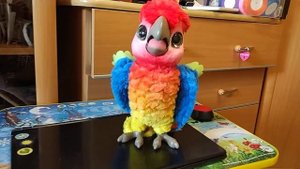 Попугай "Кеша", поющий артист Hasbro FurReal friends