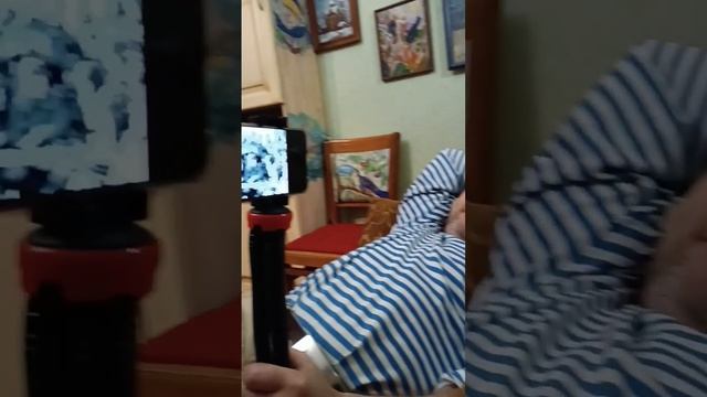 Смотрим с Марфой кино #кошка #котенок #радость смотреть онлайн