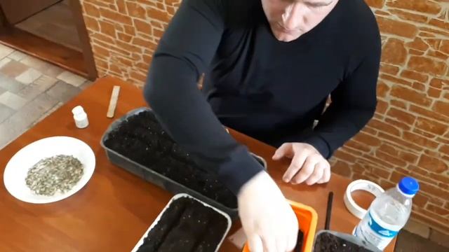 Посев Бархатцев смотреть онлайн