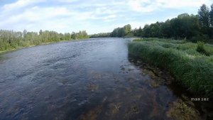 Мста. 3 ч. июнь. озеро Пирос река Березайка и мста.( Тверская и Новгородская область .