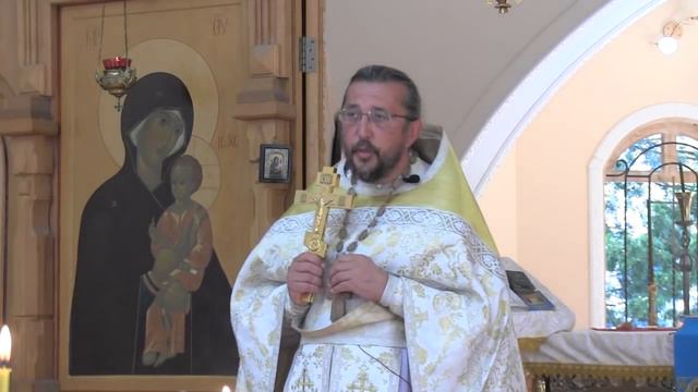 О демоне своеволия и гадаринских бесноватых. Священник Игорь Сильченков смотреть онлайн