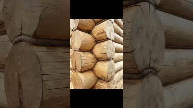 конопатка срубов 7.01.23 смотреть онлайн