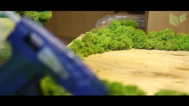Стабилизированный мох. Фитостена. Вертикальное озеленение в СПб и ЛО.