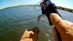 Ловля крупного толстолоба на планктон. Полезные советы