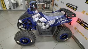 Квадроцикл MotoLand ATV 125 COYOTE