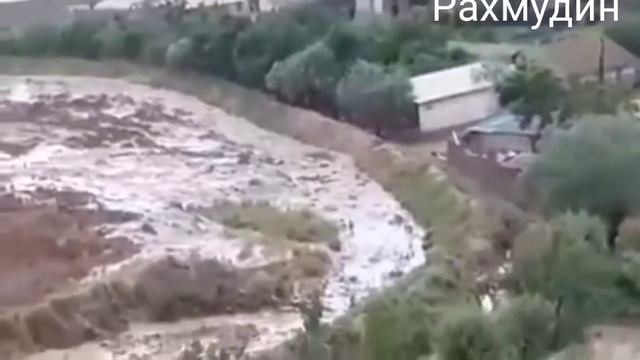 Сел дар точикистон 4 сол пеш смотреть онлайн