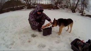Зимний подъемник, малявочник, паук  Принцип работы  Ловля живца зимой  Верховка