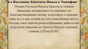 Евангелие дня 16 января  2024 с толкованием. Апостол дня. Жития Святых.